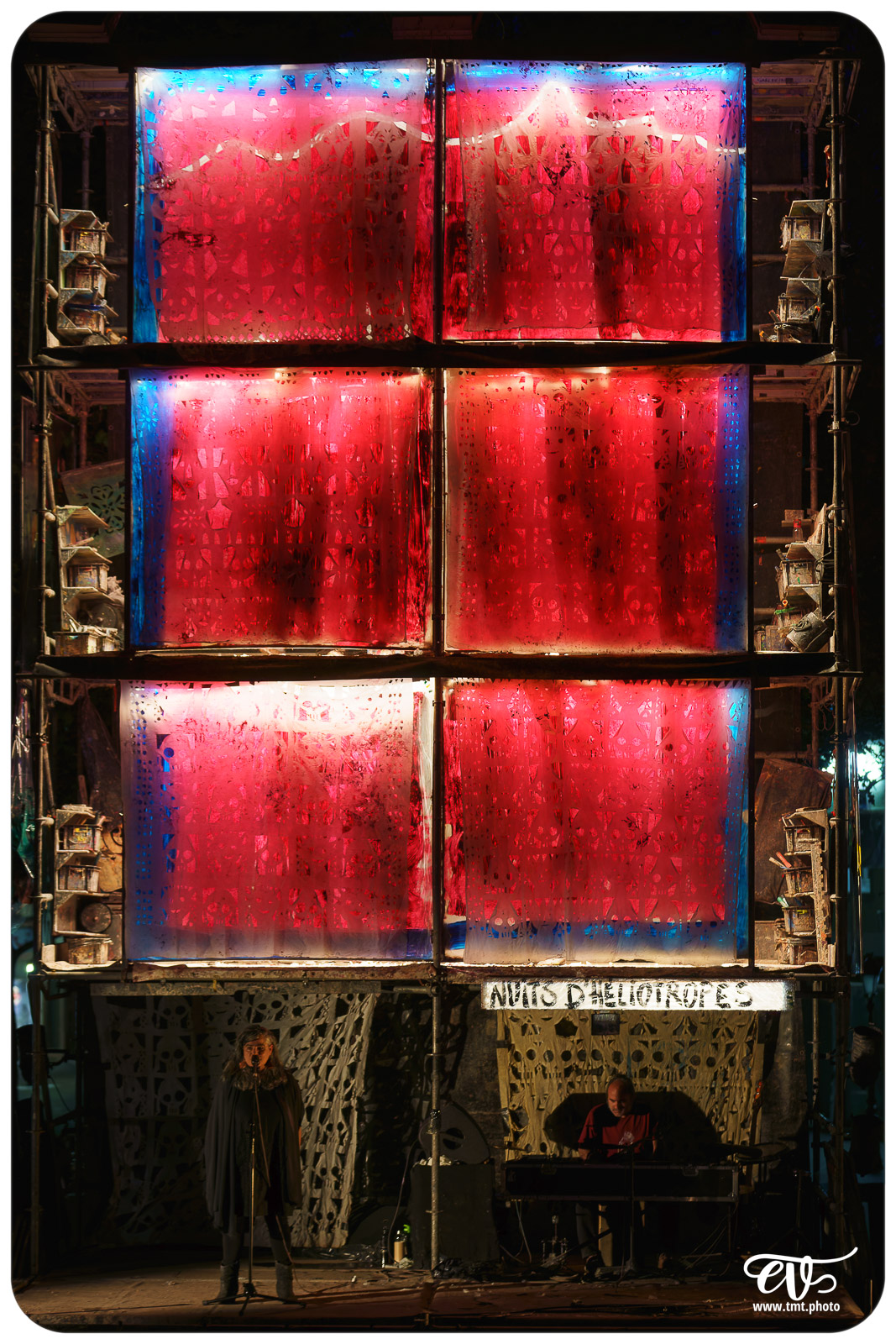 TMTPHOTO LA TORTUE DE GAUGUIN 008